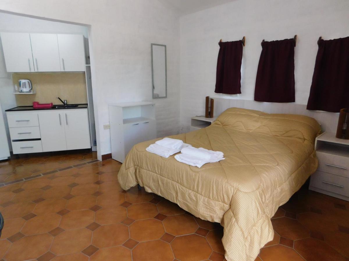 Estudio con terraza