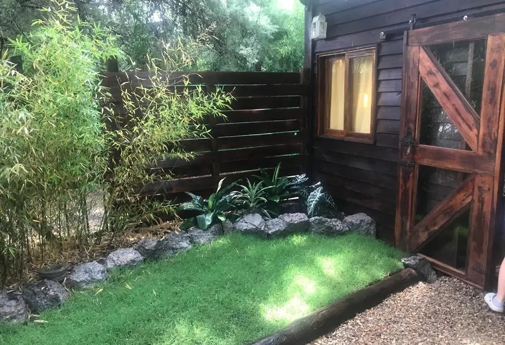 La Casa Del Arbol Con Pileta Privada-1