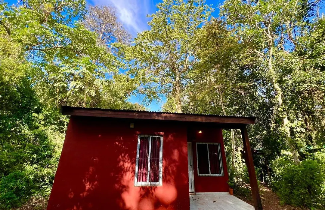 Cabanas Luces De La Selva-1