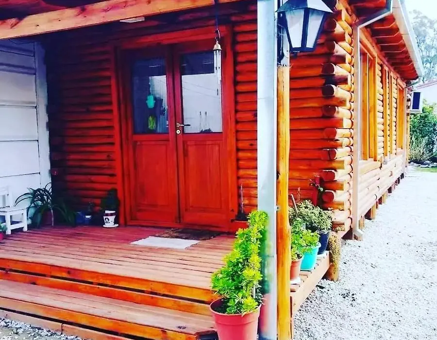 La casa del arbol cabaña de troncos-1