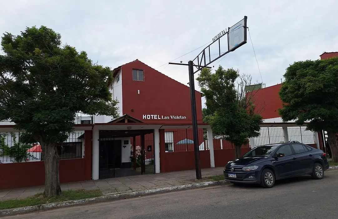 Las Violetas-1