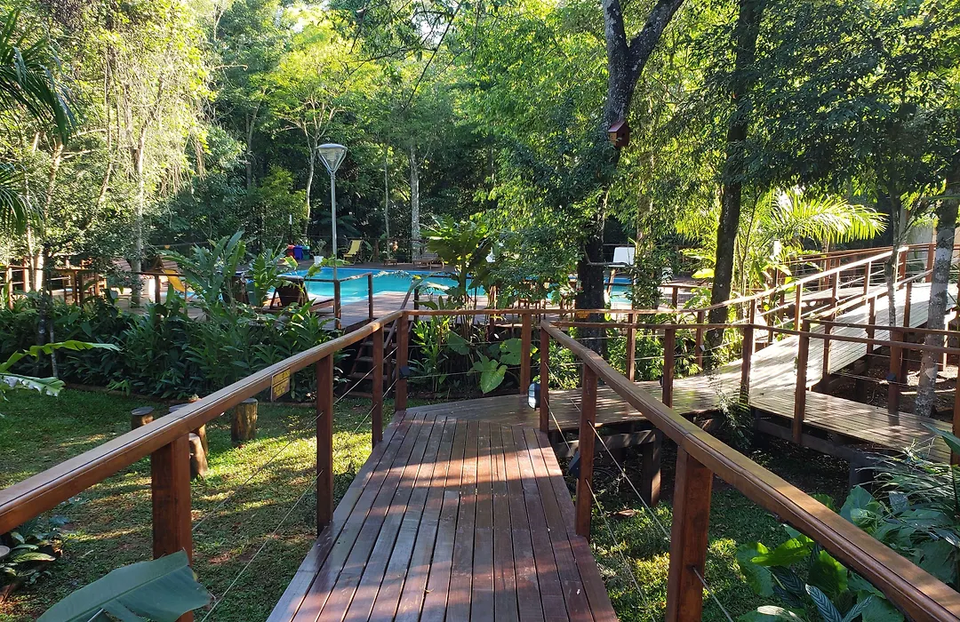 Selva De Laurel-1