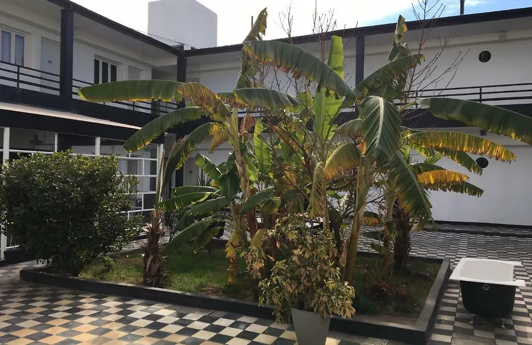 Hotel Rex-1
