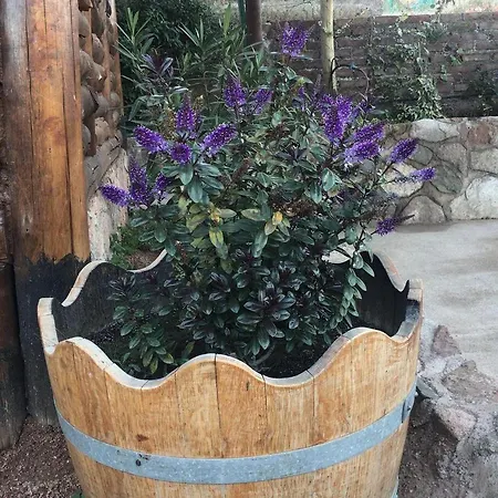 Mirador de Montaña-2