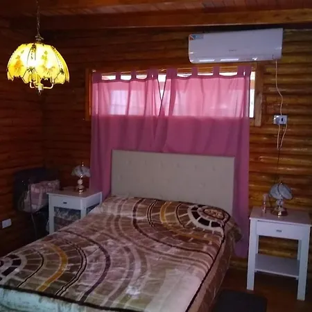 La casa del arbol cabaña de troncos-3