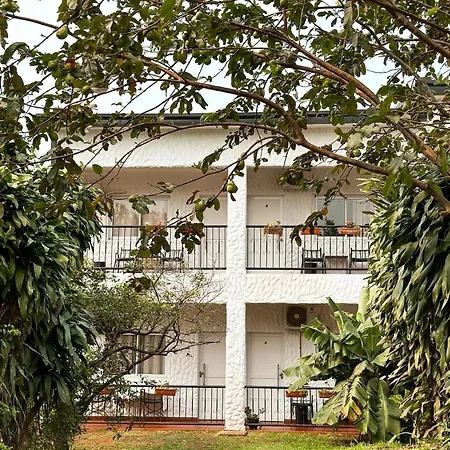 Mediterráneo Suites-3