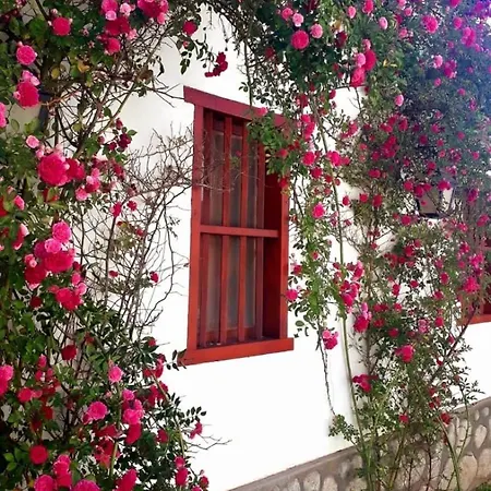 Balcones de San Carlos - casa Balcones-3