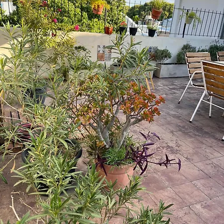 Josefa terraza y parrilla - Alojate Mendoza-3