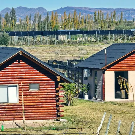 Martyniuk lodges entre viñedos-2