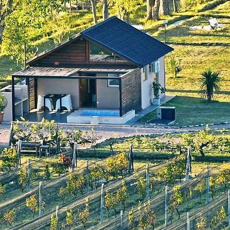 Martyniuk lodges entre viñedos-3