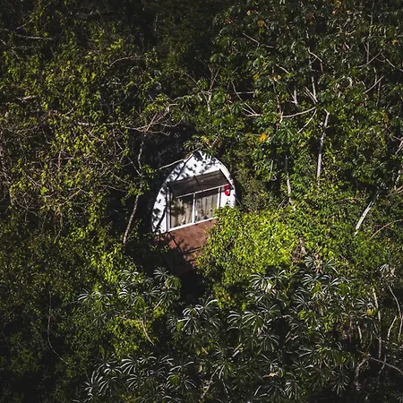 Glamping Selva Iguazu-2