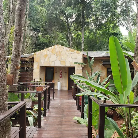 Selva De Laurel-2
