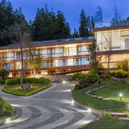 Hotel Alto Traful-2