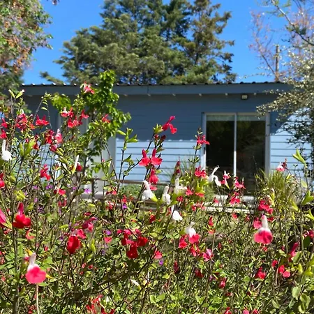 Entre Las Sierras Tiny House Solo Adultos-3