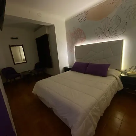 Hotel Dos Venados-3