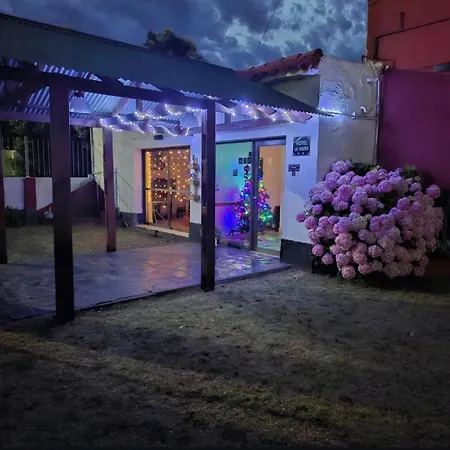 Las Violetas-2