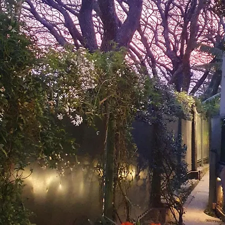 Los Tarcos Guest House-2