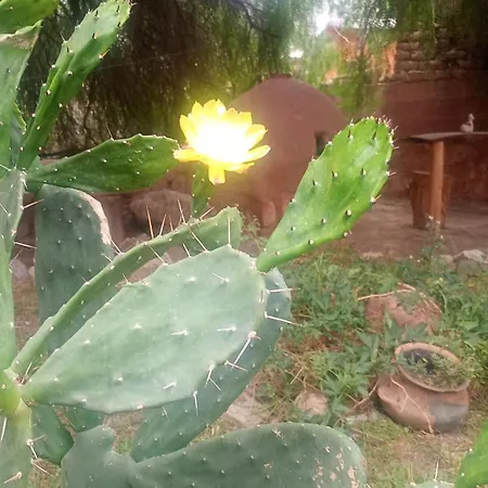 La Pirquita-3