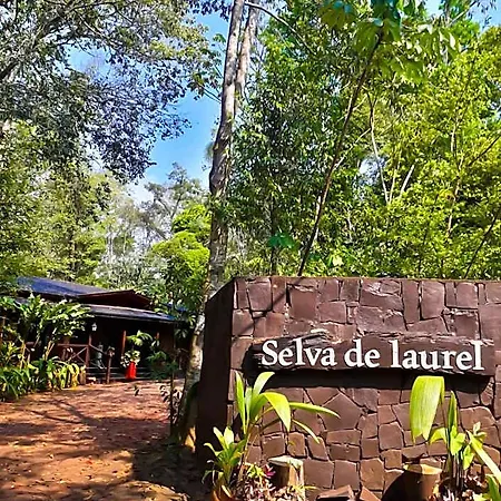 Selva De Laurel-3
