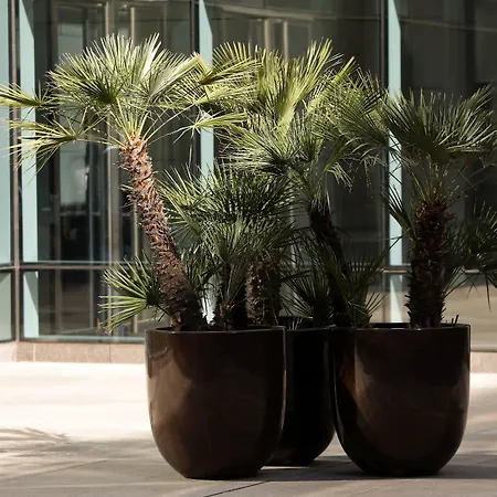 Park Hyatt Mendoza Hotel, Casino & Spa-2