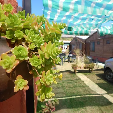 Hostal Del Suri-3