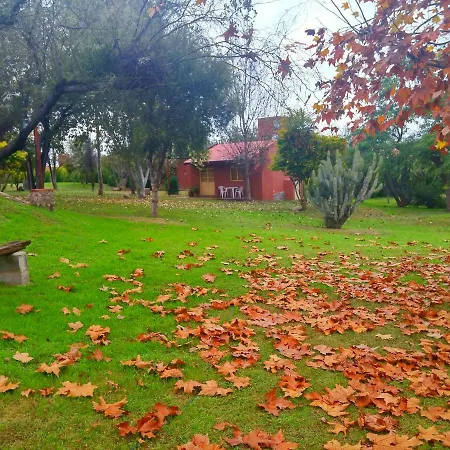 Cabañas Altos del Velazco-2