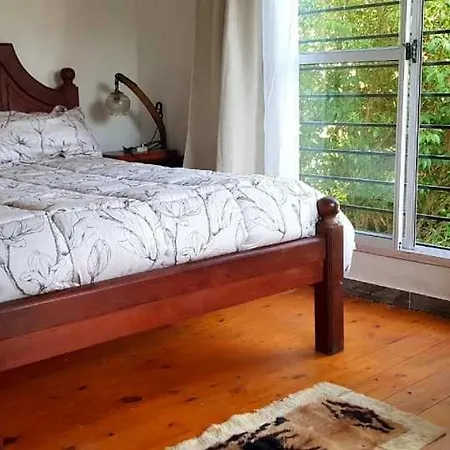 Mi Jardín-2