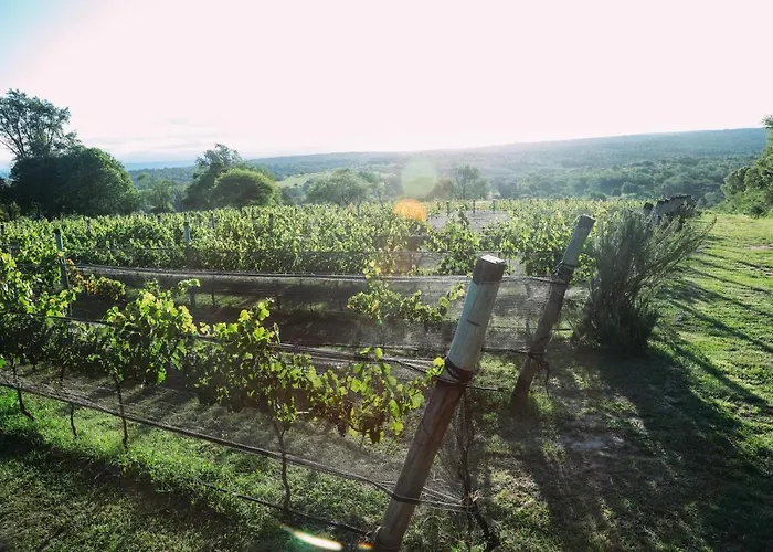 Cabaña Sol - FINCA PUDUAM