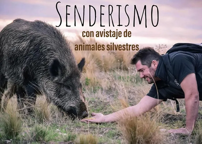 Aldea del bosque