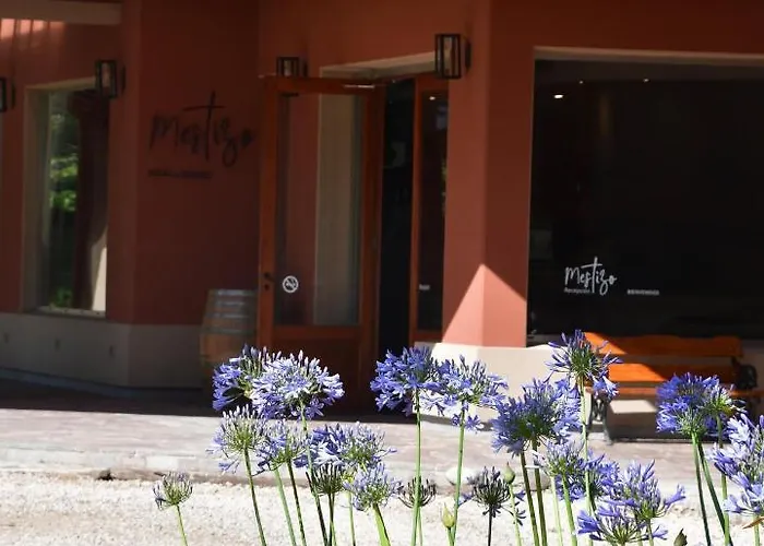 Mestizo Hotel