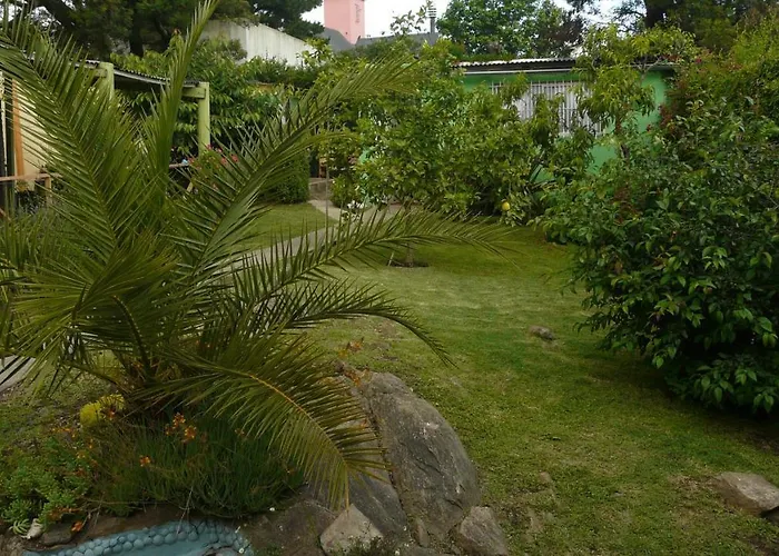 El Jardin De Nora