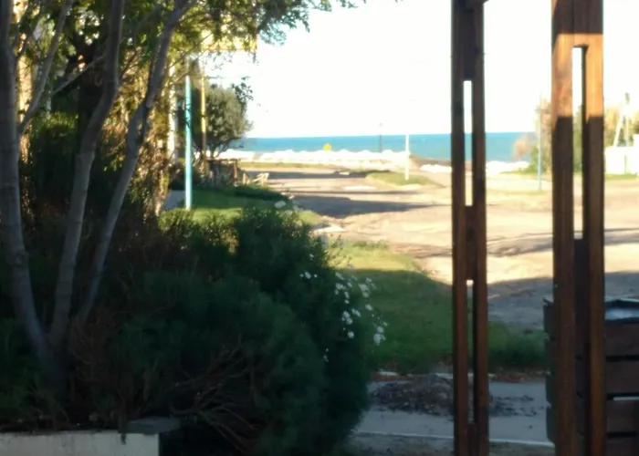 Hippocampus Casas de Mar