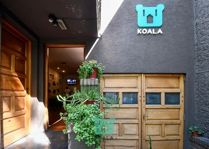 Koala Hostel