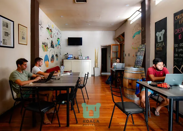 Koala Hostel