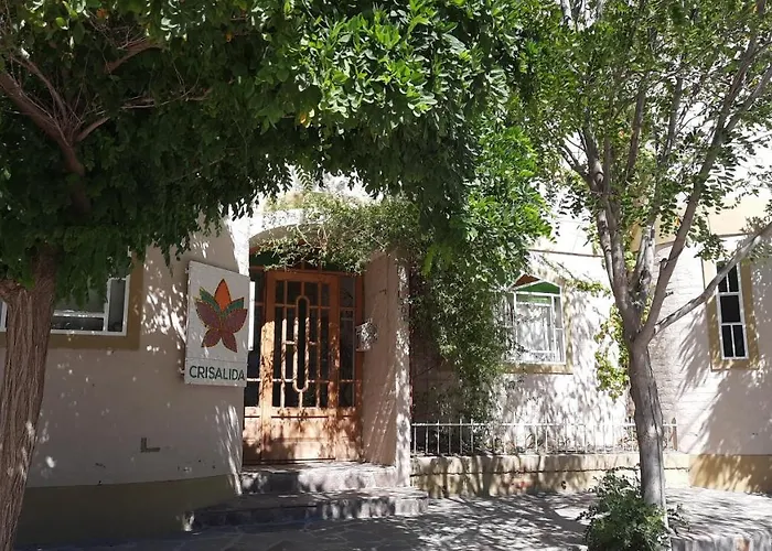 Crisálida Puerto Madryn