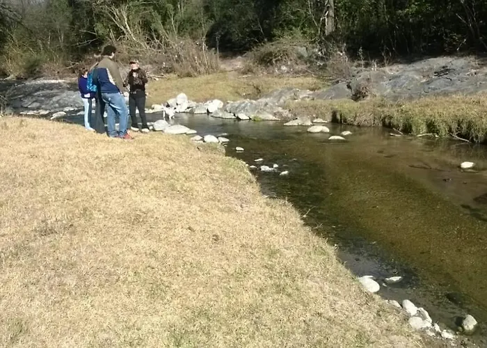 El Druida