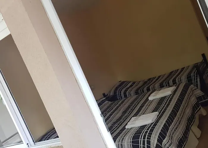 Nuevo Magnet