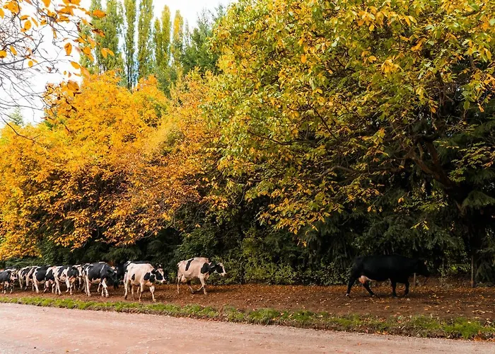 Encanto Patagónico El Bolsón, Argentina