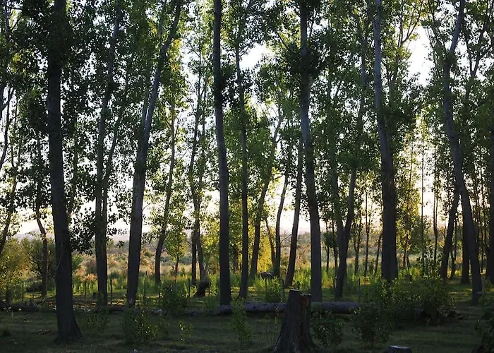 Cabaña Quinta La Gringa, San Rafael, Argentina
