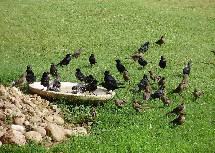 Atahualpa Mi Posada Mina Clavero, Argentina