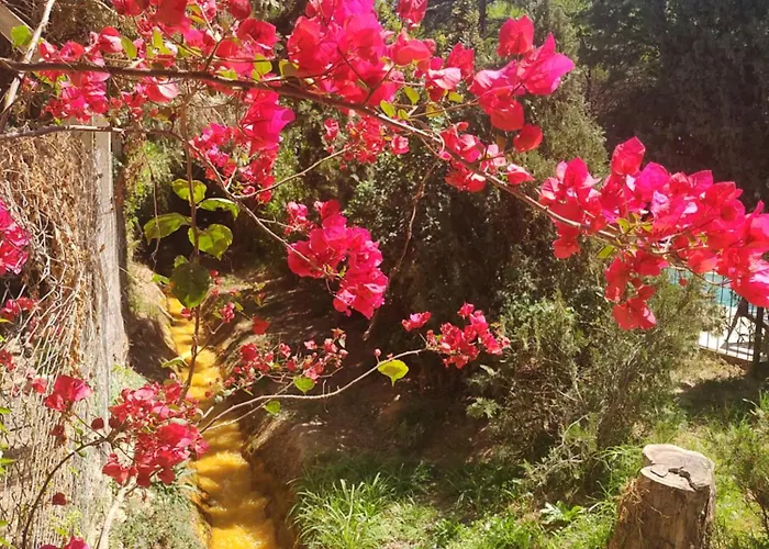 Valle San Miguel