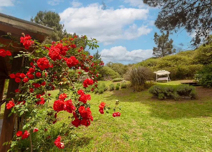 Akapana Suites