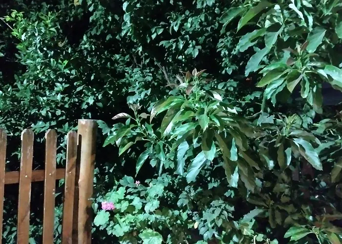 La Casa Del Arbol Cabaña De Troncos