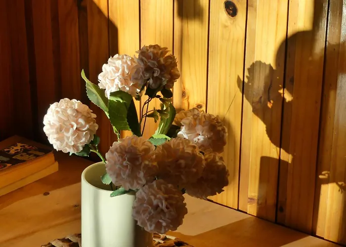 Il Point Hostel Cafe
