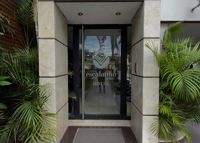 Escala Uno