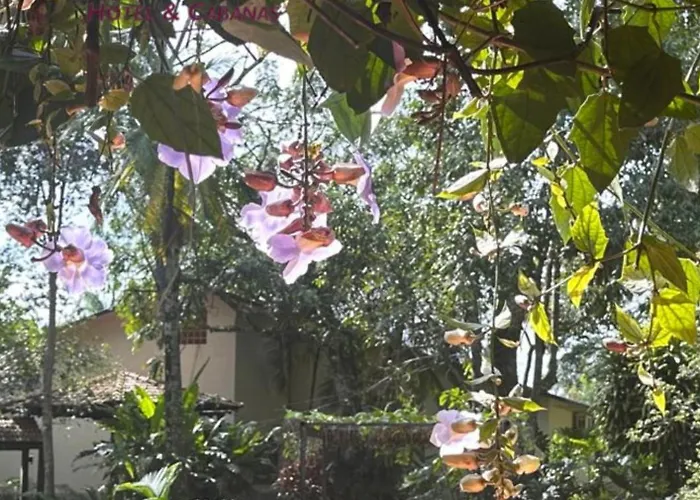 Orquideas &Cabañas