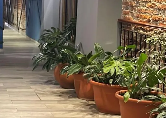 Hotel ICONICO JUJUY Centro Desayuno incluido