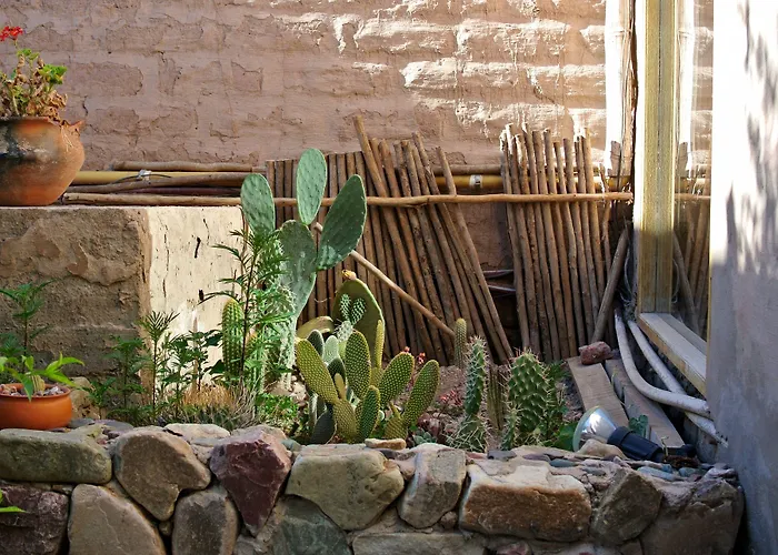 Refugio Del Pintor