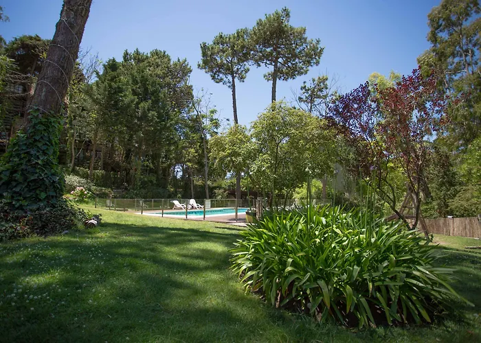 Posada del Bosque By HS