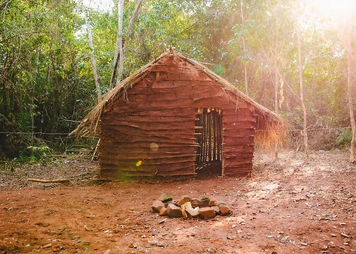 Glamping Selva Iguazu